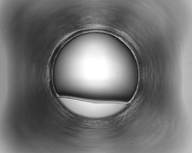 X0000093761364200710160827