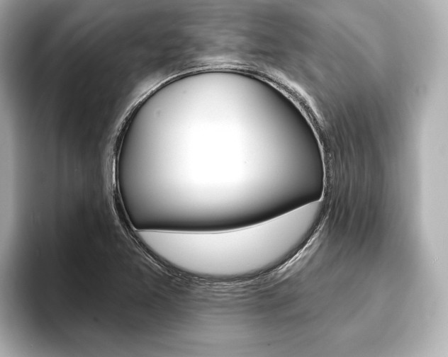 X0000093761365200710160827