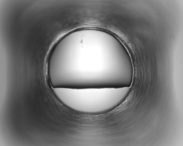 X0000093761366200710160827