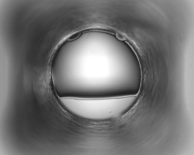 X0000093761367200710160827