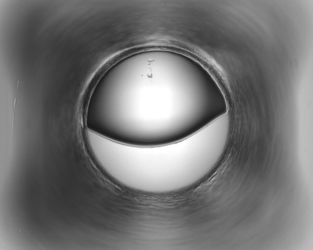 X0000093761368200710160827
