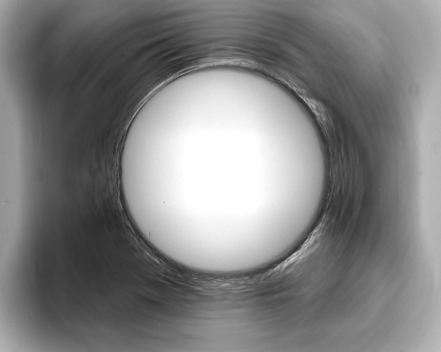 X0000093761369200710160827