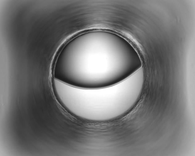 X0000093761372200710160827