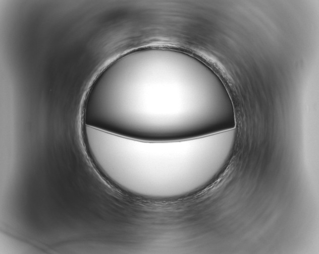 X0000093761375200710160827