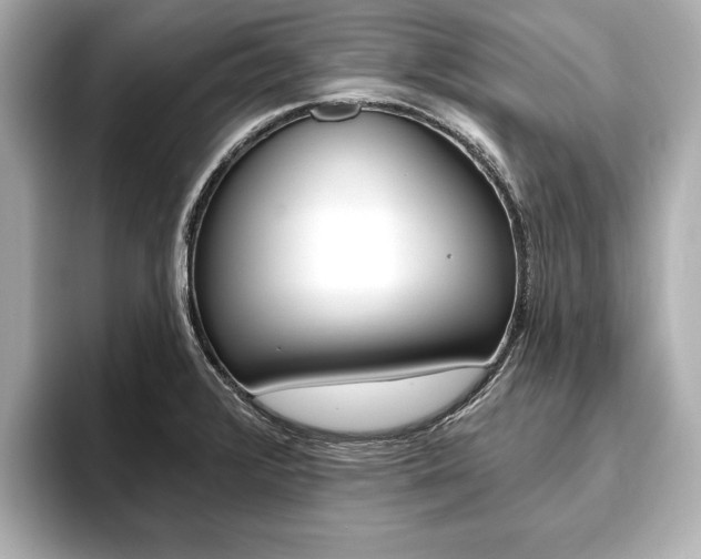 X0000093761376200710160827