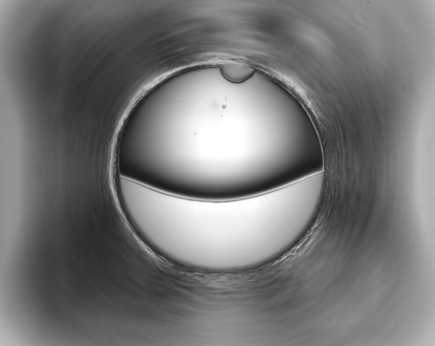 X0000093761379200710160827