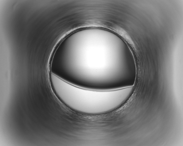 X0000093761380200710160827