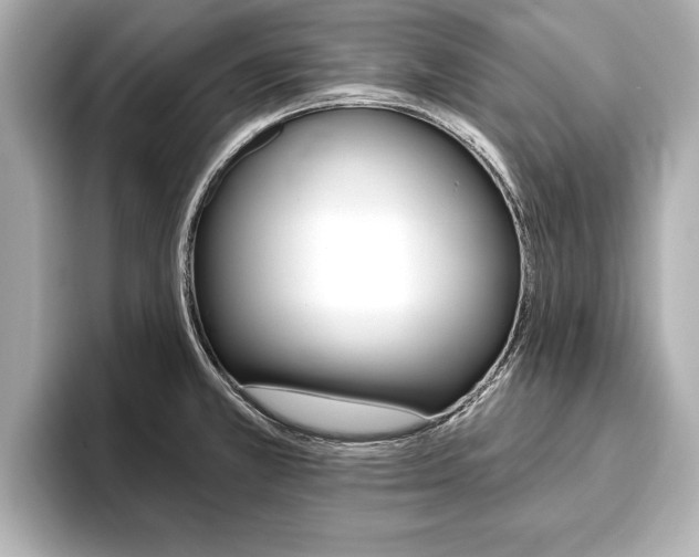 X0000093761381200710160827