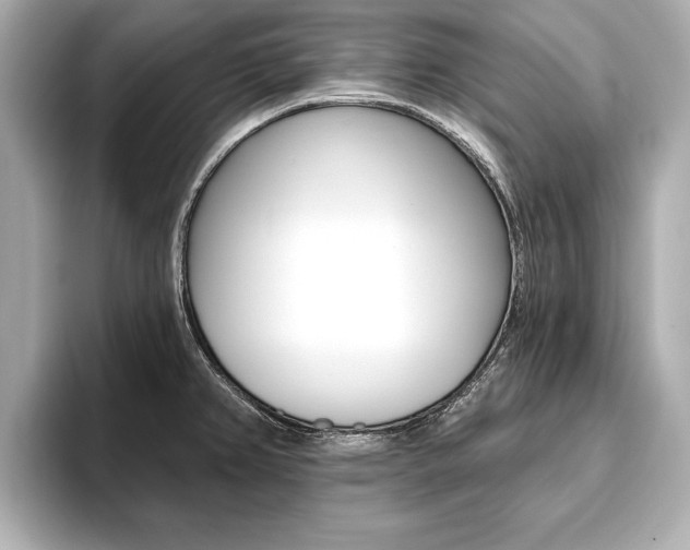X0000093761382200710160827