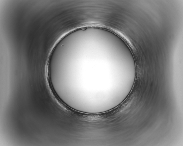 X0000093761383200710160827