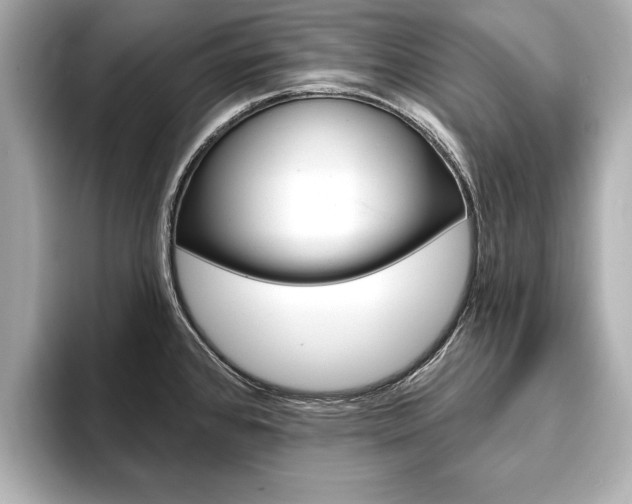 X0000093761384200710160827