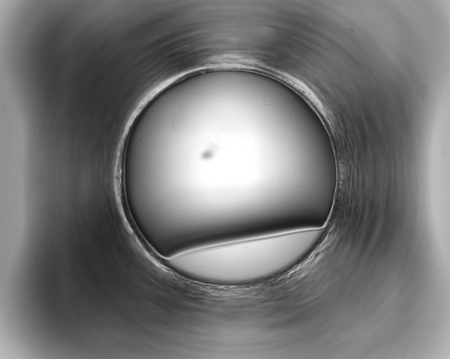 X0000093761387200710160827