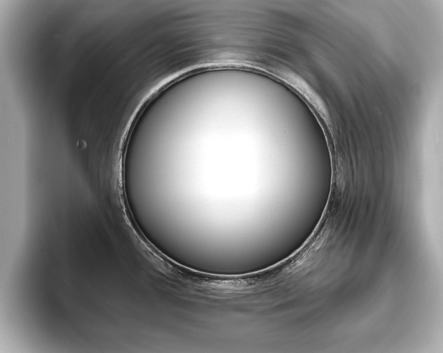 X0000093761388200710160827
