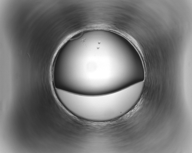 X0000093761389200710160827