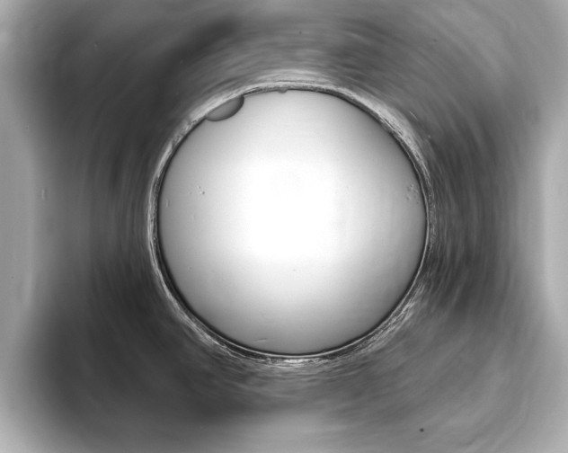 X0000093761390200710160827