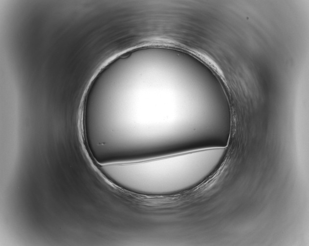 X0000093761391200710160827
