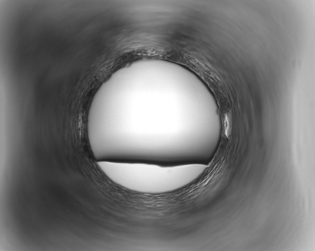 X0000093761395200710160826