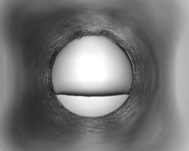 X0000093761397200710160826