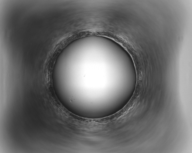 X0000093761398200710160826