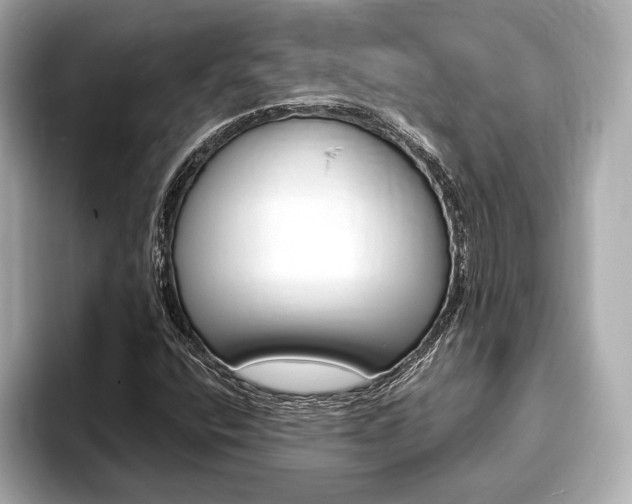 X0000093761400200710160826