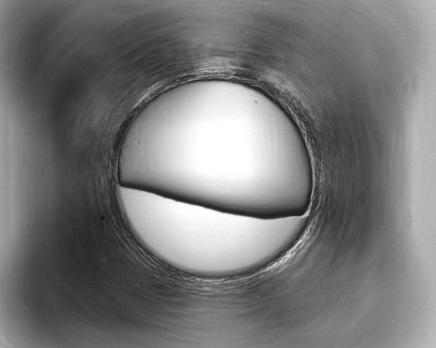 X0000093761401200710160826