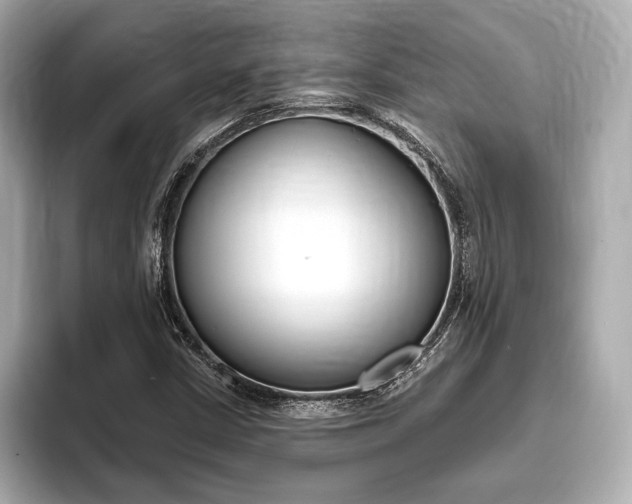 X0000093761402200710160826
