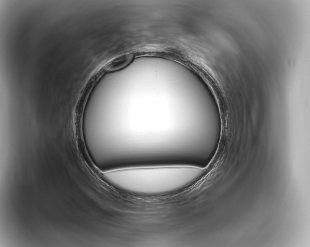 X0000093761404200710160826
