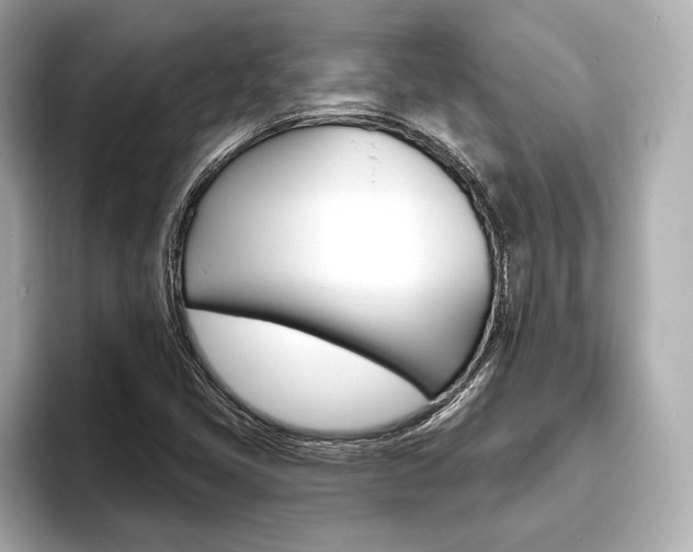 X0000093761405200710160826