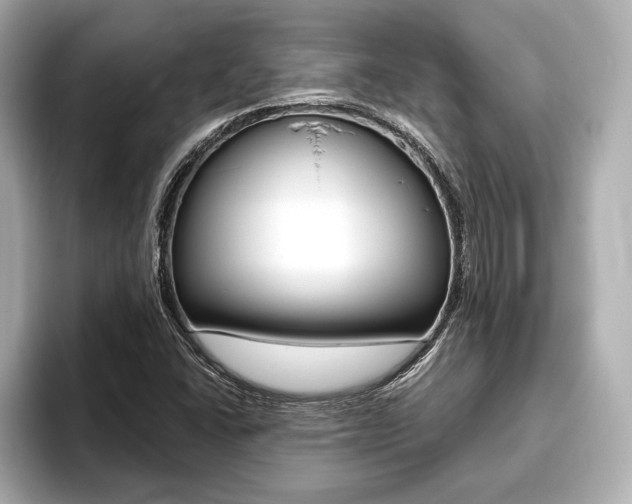 X0000093761406200710160826