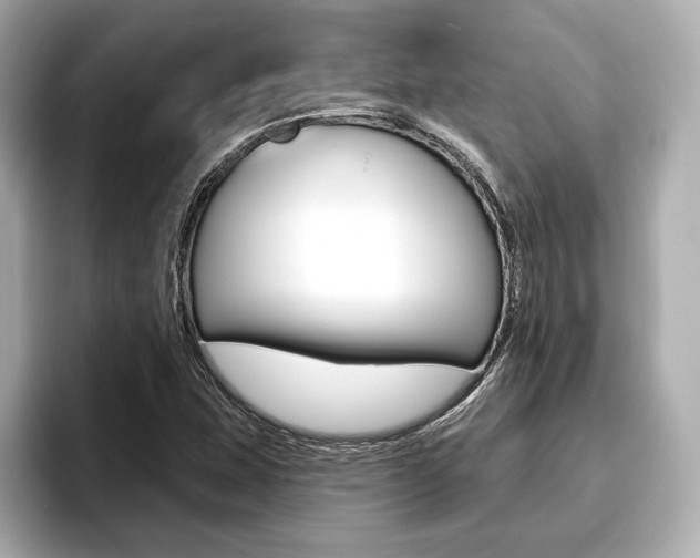 X0000093761407200710160826