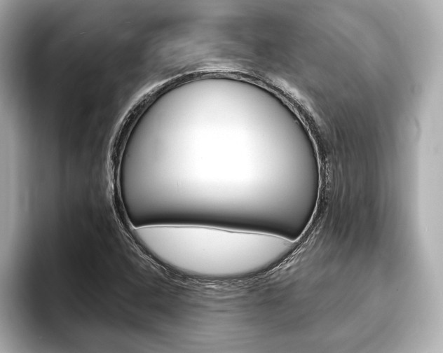 X0000093761408200710160826