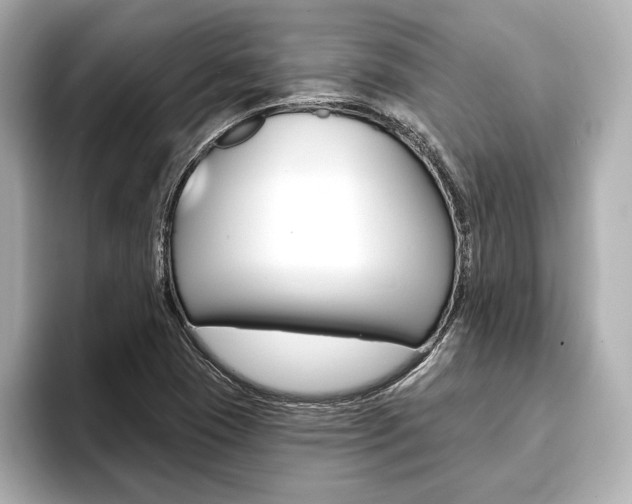 X0000093761409200710160826