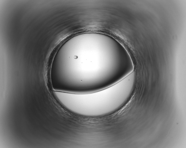 X0000093761410200710160826