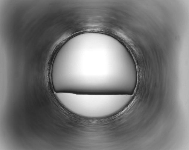 X0000093761411200710160826