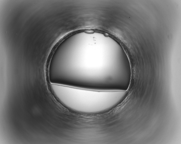 X0000093761412200710160826