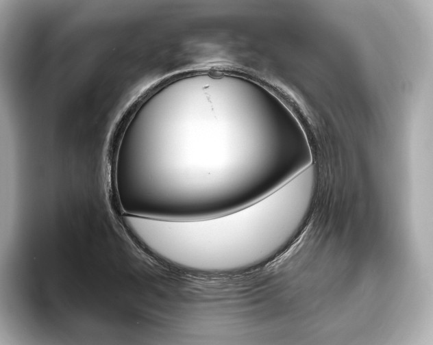 X0000093761414200710160826