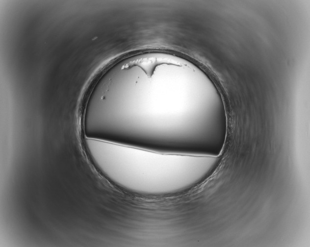 X0000093761416200710160826
