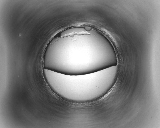 X0000093761417200710160826