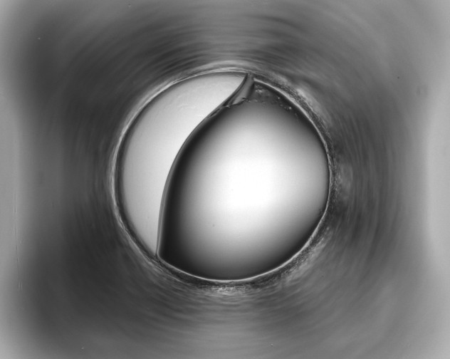 X0000093761418200710160826