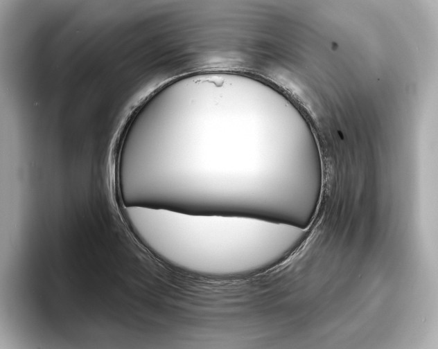 X0000093761419200710160826