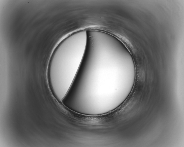 X0000093761420200710160826