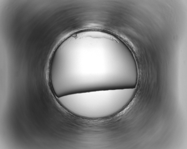 X0000093761421200710160826