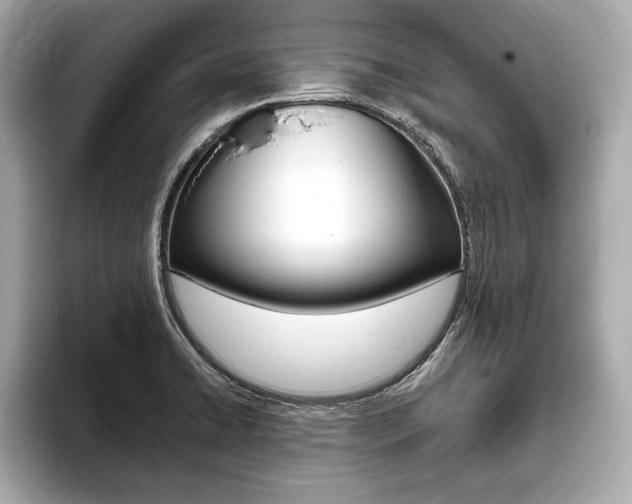 X0000093761422200710160826