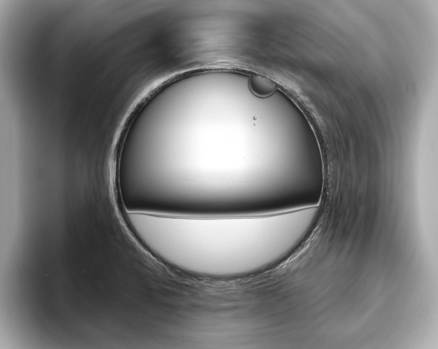 X0000093761424200710160826