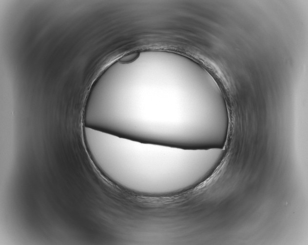 X0000093761425200710160826