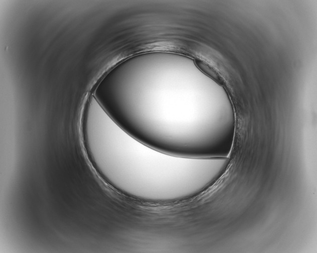 X0000093761426200710160826