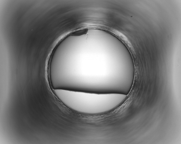 X0000093761427200710160826