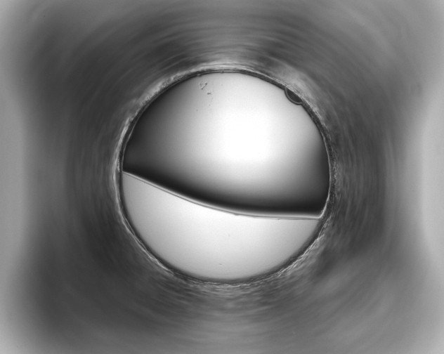 X0000093761428200710160826