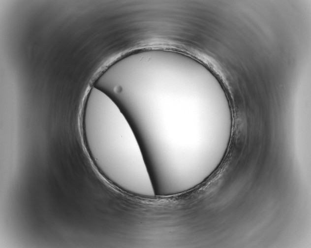 X0000093761429200710160826