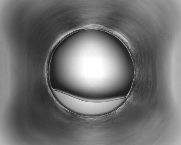 X0000093761430200710160826